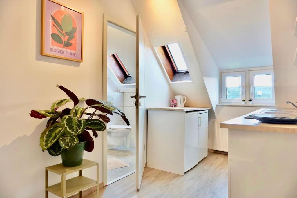 Neu I Moderne Zentrale Wohnung I Netflix I 4 Gaeste アンダーナッハ エクステリア 写真